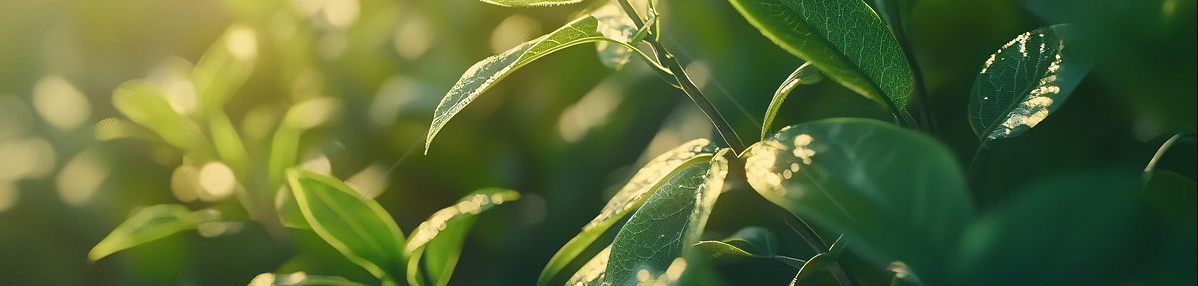 微信图片 2026 01 04 110306 825